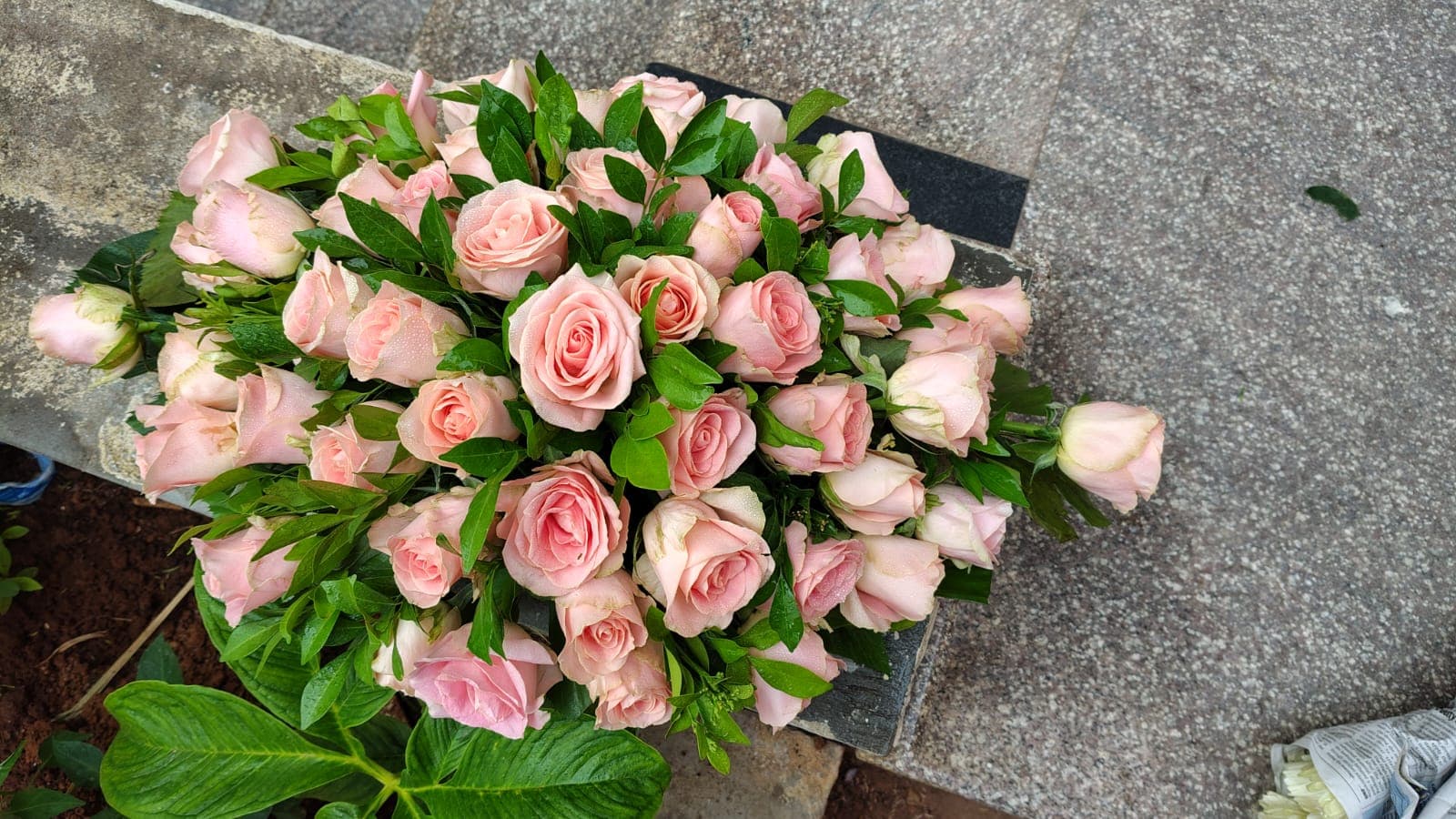 Pastel Garden Rose Cushion